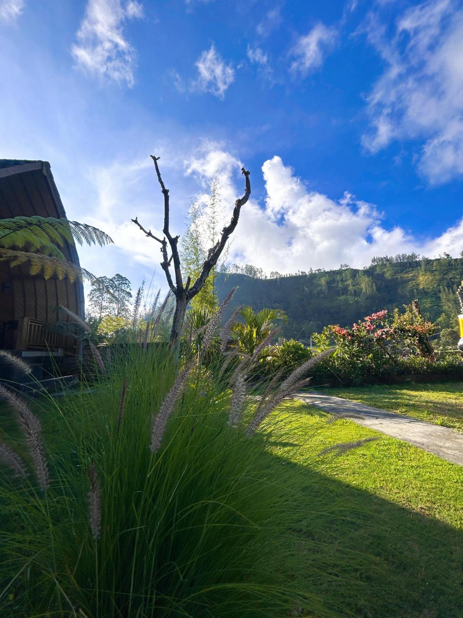 Batur Cottage Kubupenlokan Buitenkant foto